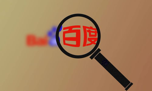 怎么查询蜘蛛池